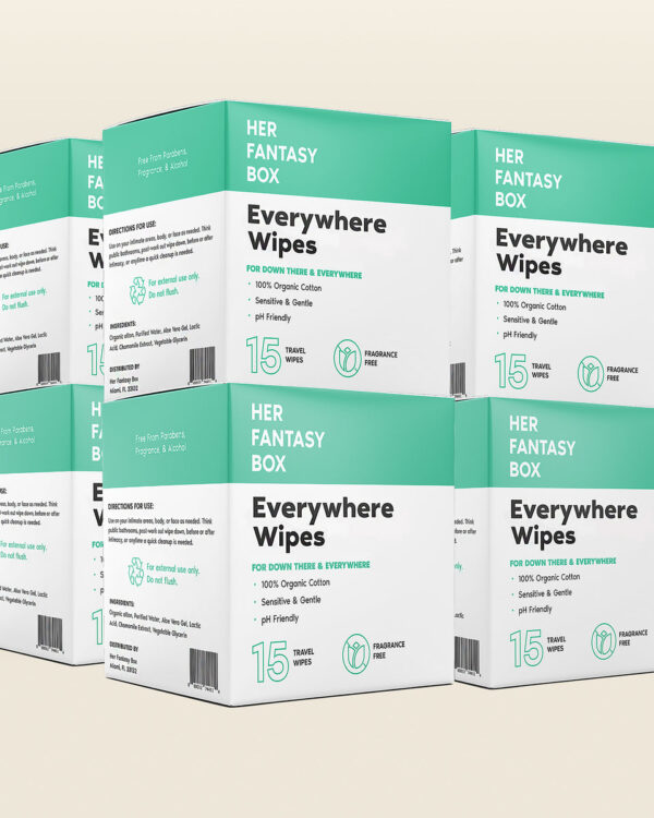 Everywhere Wipes Travel Size - 120 Wipes, 8 Pack